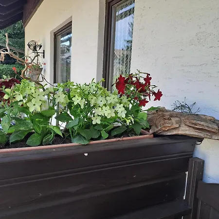 Апартаменты Kubisko *