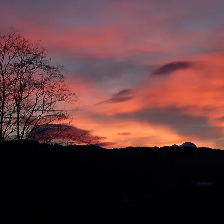 Kubisko Appartement Keutschach am See