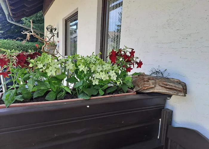 Apartament Kubisko *